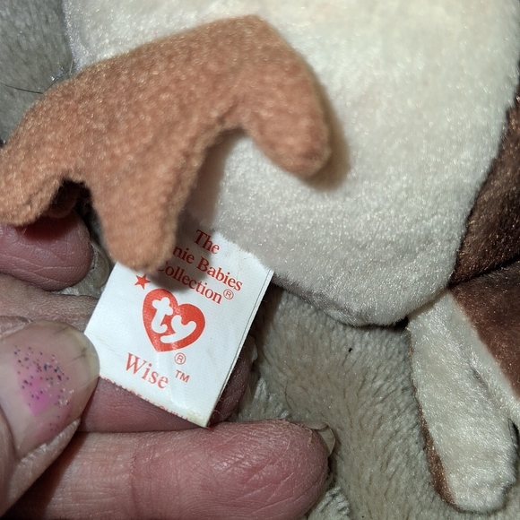 "Wise" TY Owl - Picture 3 of 15